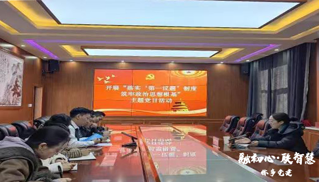 【支部“喊你来报到”主题党日活动】称多县人民检察院党支部开展“落实‘第一议题’制度筑牢政治思想根基”主题党日活动