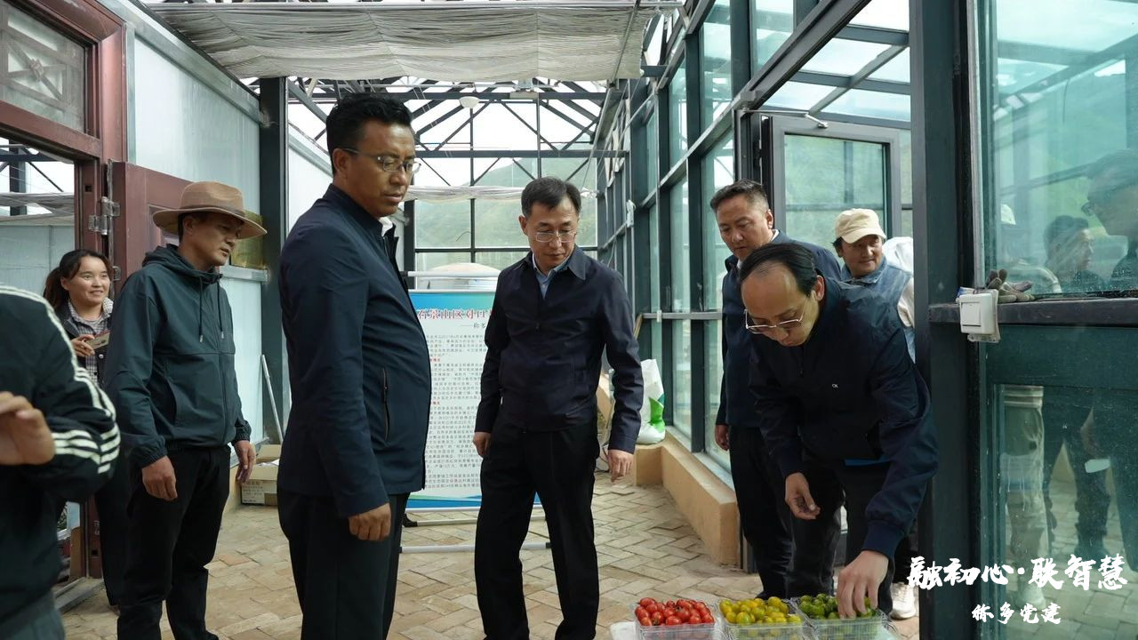 北京市石景山区委组织部赴称多县看望慰问援青干部并调研指导对口支援工作