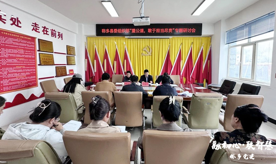 称多县委组织部召开“重公道，敢于担当尽责”专题研讨会