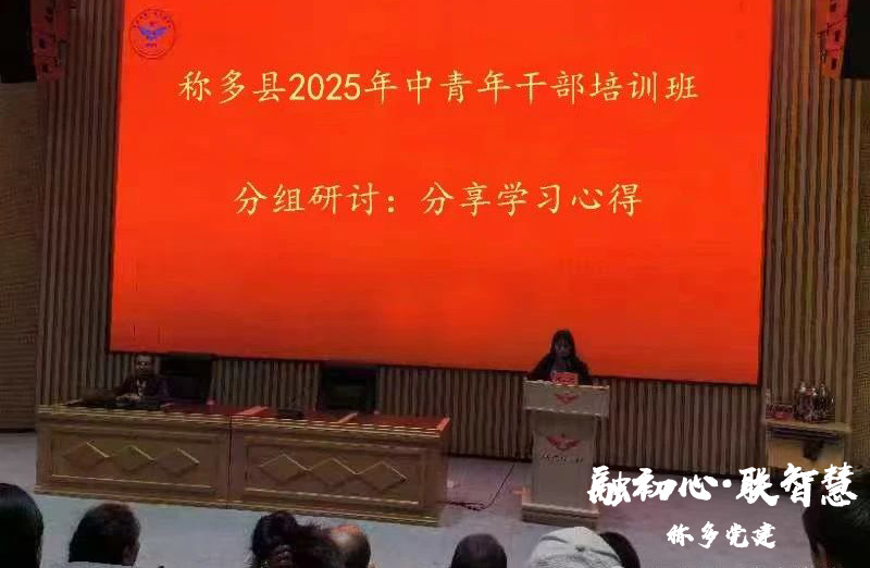 青春奋进正当时，逐梦扬帆再启航——2025年称多县中青年干部培训班圆满结业